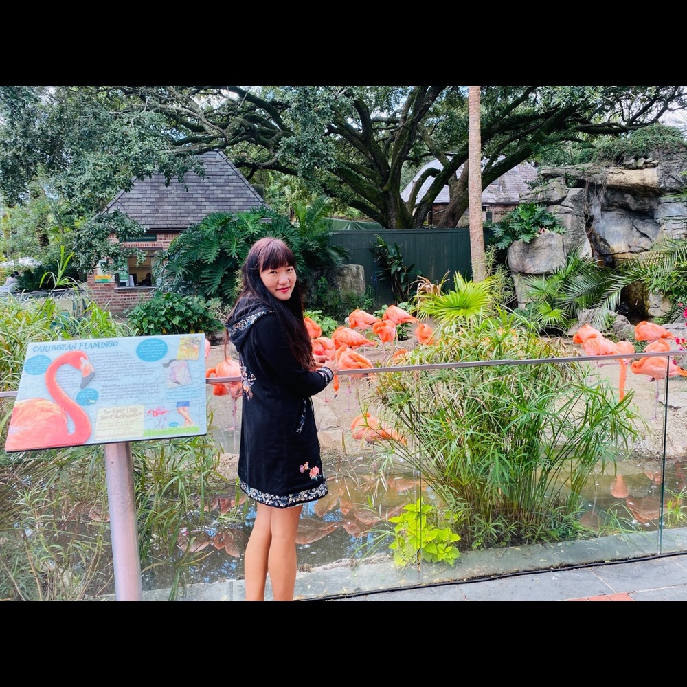 Meet your Posher, Yan